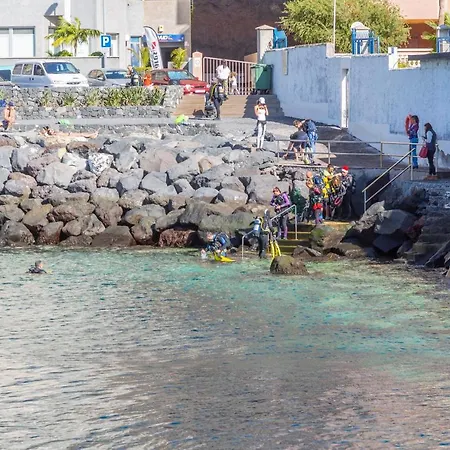 Seafront 33 アパート *